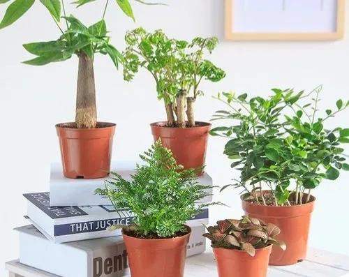 十个藏在农村不起眼的项目,只要好好做,同样也能致富