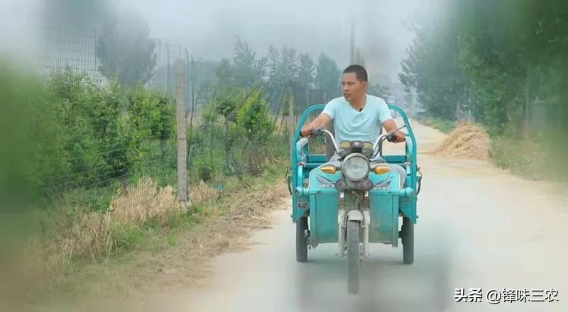 北漂10年后返乡创业,借助自媒体,他带领一方百姓共同致富