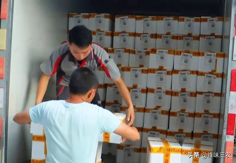 北漂10年后返乡创业,借助自媒体,他带领一方百姓共同致富