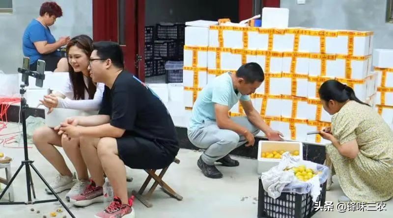 北漂10年后返乡创业,借助自媒体,他带领一方百姓共同致富