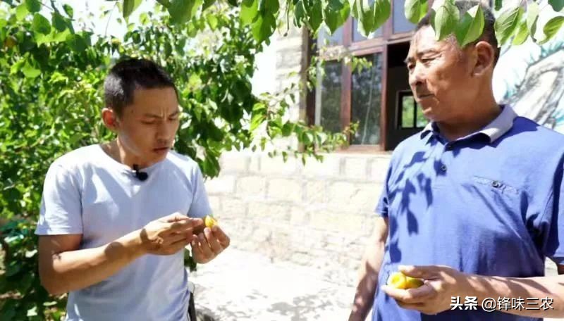 北漂10年后返乡创业,借助自媒体,他带领一方百姓共同致富