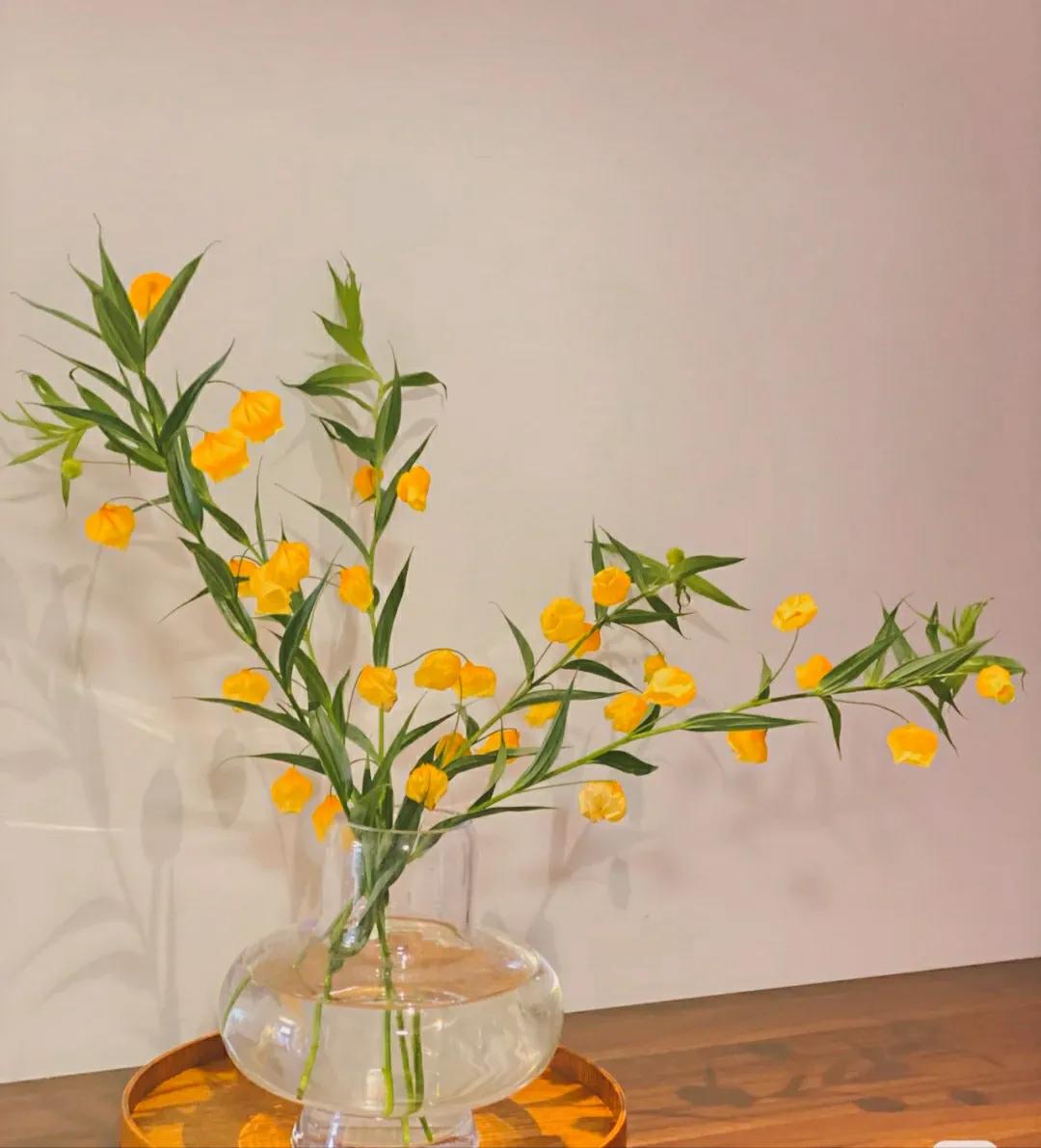 2022最适合做自媒体，看看这6个理由，最后一个理由绝了