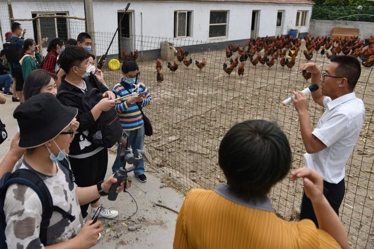 助力乡村振兴自媒体作者大V走进章丘三涧溪农创园