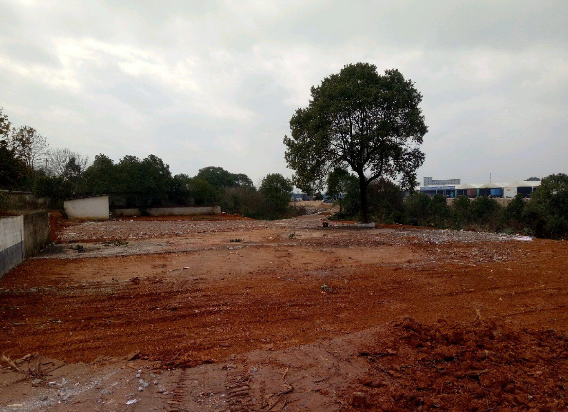 榔梨电商(收到榔梨电商的快递) 榔梨电商(收到榔梨电商的快递)