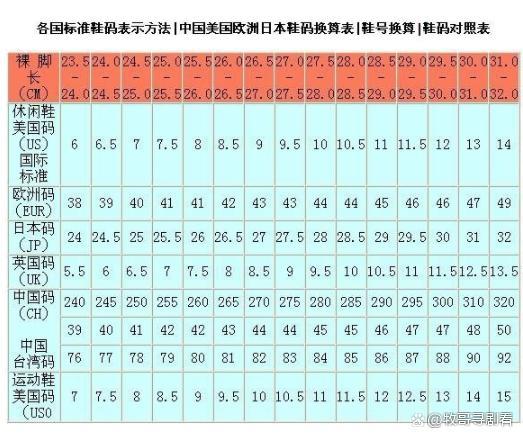 41码的鞋是多少厘米