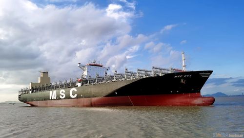 msc船公司