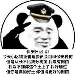 表情包文案
