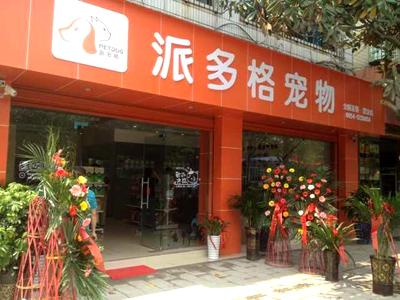 宠物店一年利润怎么样