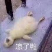 臭宝是什么意思