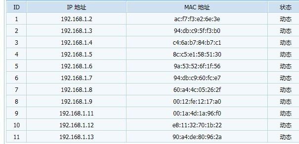 大ip是什么意思