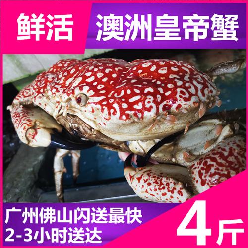 帝王蟹多少钱