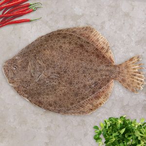 多宝鱼多少钱一斤