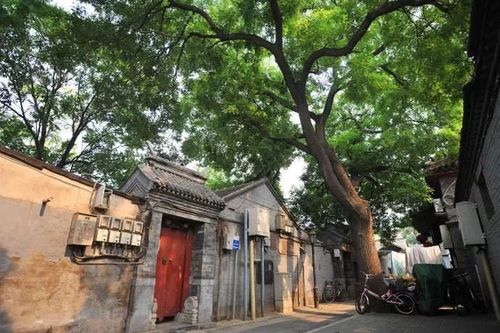 二一添作五是什么意思