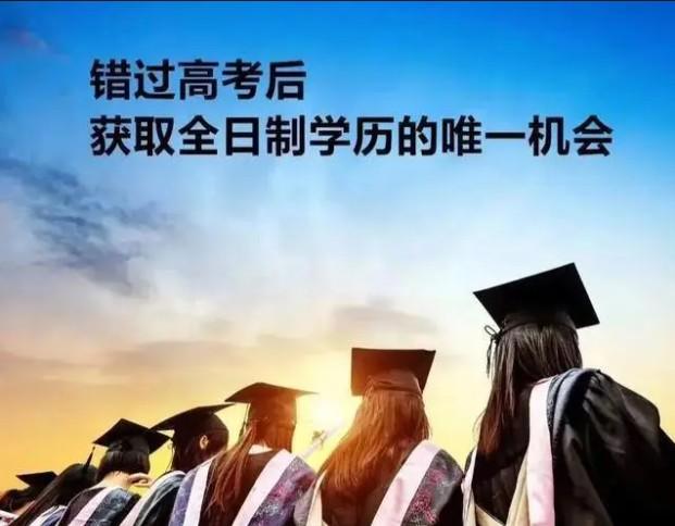 高职是什么学历