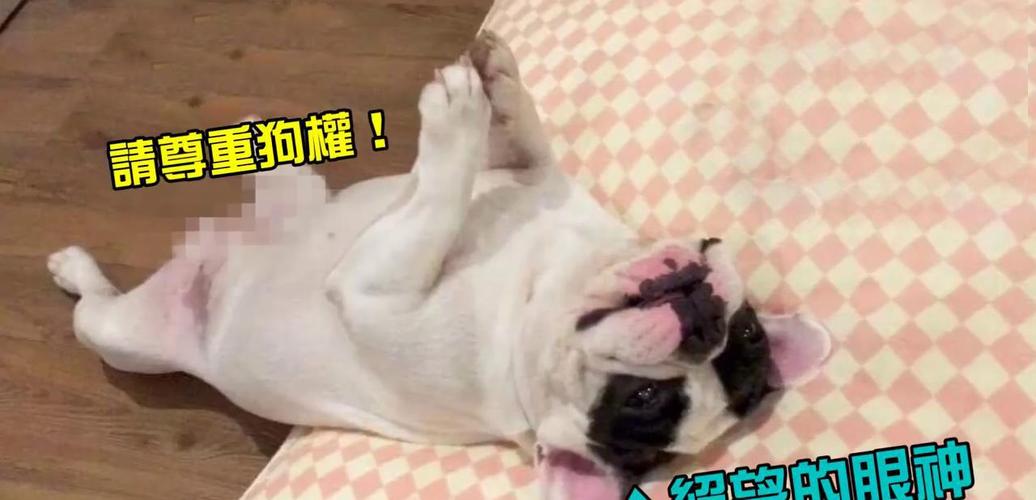 滚犊子什么意思