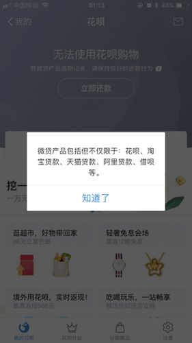 花呗用不了是怎么回事