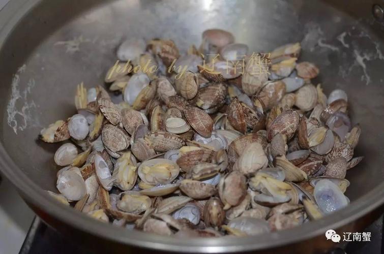 花蛤和蛤蜊的区别