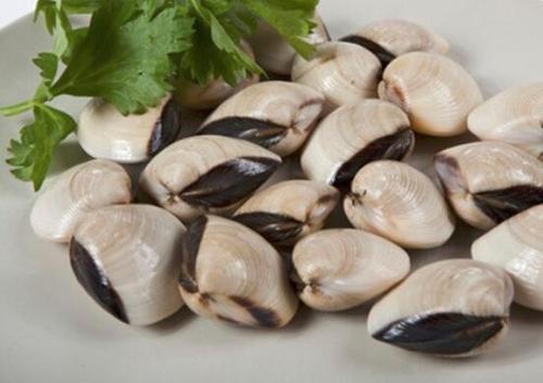 花甲和蛤蜊的区别