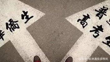 华侨是什么意思