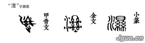 会意字是什么意思