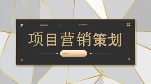 会员营销策划方案