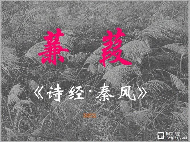 蒹葭苍苍怎么读