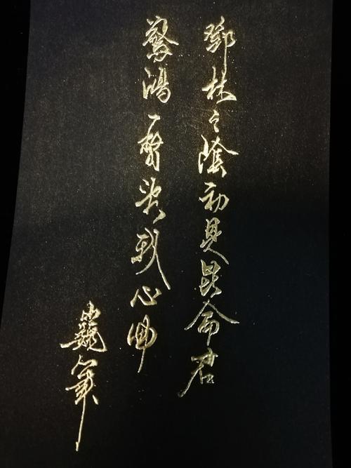 惊鸿一瞥是什么意思