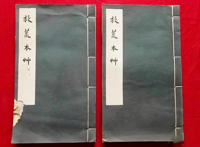 救荒本草是哪个朝代的