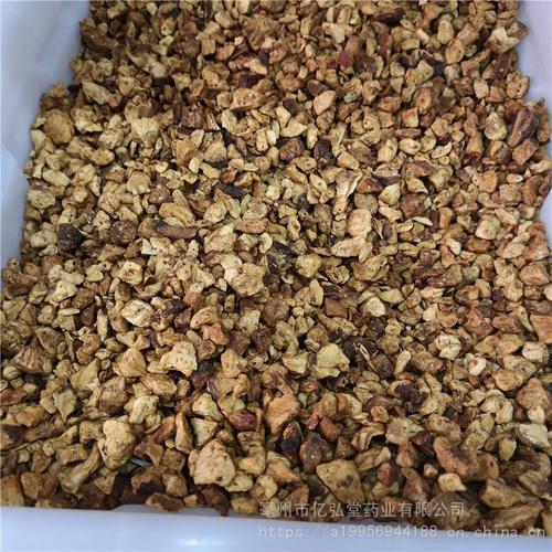 菊苣根的功效和作用