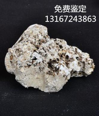 龙涎香一克多少钱