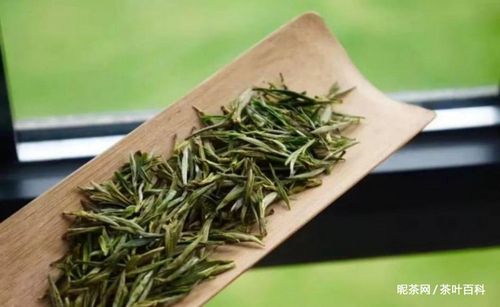 绿茶是什么意思