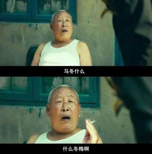 马冬梅什么梗