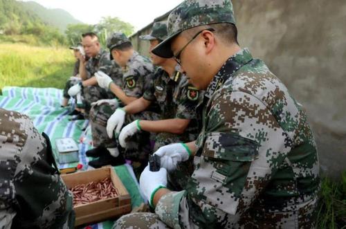 民兵是干什么的