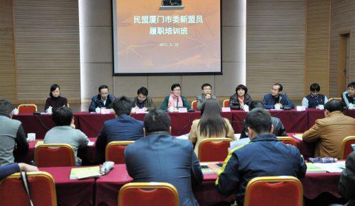 民盟是什么组织