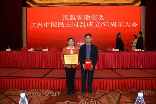 民盟是什么组织