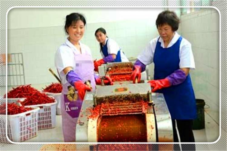 农村加工厂项目