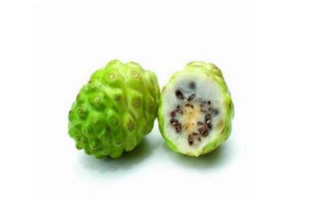 诺丽果的十大功效