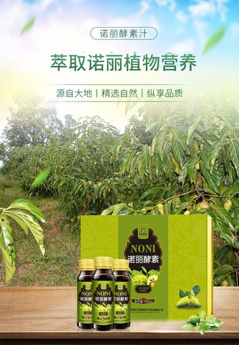 诺丽果酵素的功效