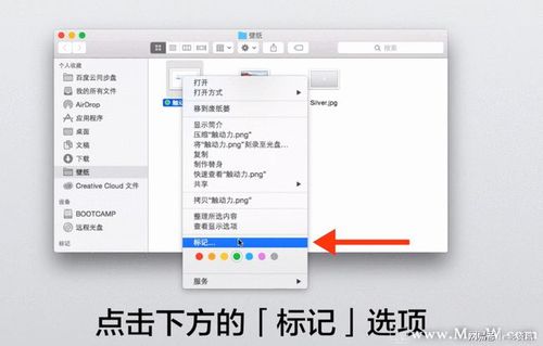苹果照片导入电脑