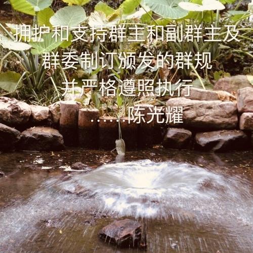 群主怎么写群规