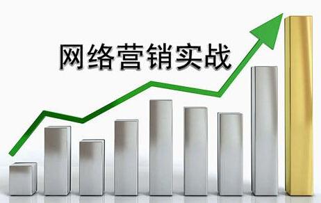 如何进行网络推广