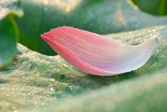 洒脱是什么意思