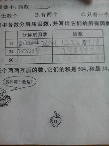 什么是分解质因数