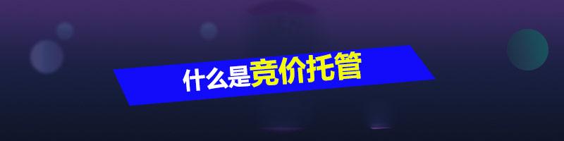 什么是竞价
