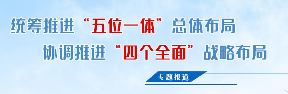 什么是五位一体