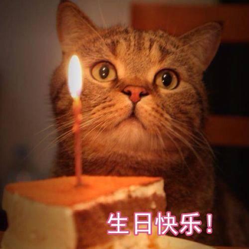 生日快乐表情包