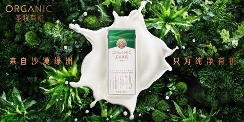圣牧有机奶