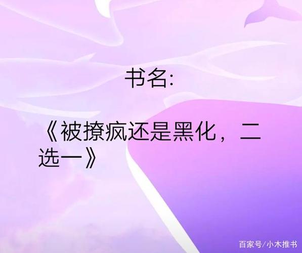 爽文是什么意思