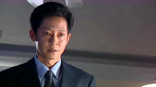 王志文主演的电视剧