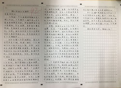 网评文章怎么写